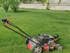 Redovito-odrzavanje-engleskog-travnjaka-TOMMY-RAB-02