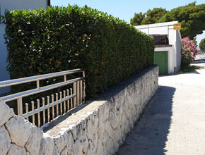 Sisanje-zivice-BRODARICA-01