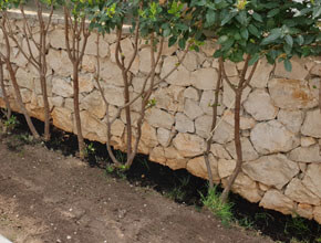 uređenje-okućnice-01